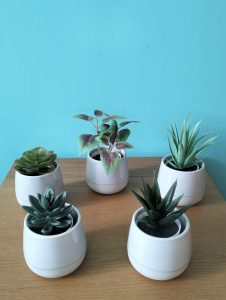 Lot de 5 petites plantes en plastiques
