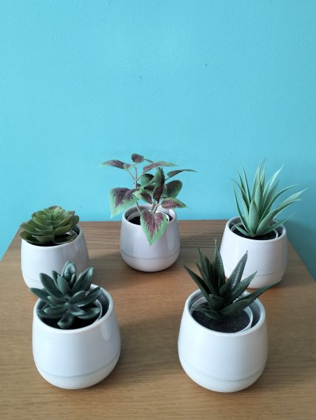 Lot de 5 petites plantes en plastiques