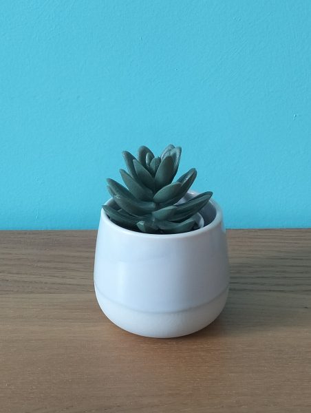 Lot de 5 petites plantes en plastiques