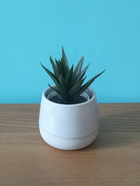 Lot de 5 petites plantes en plastiques