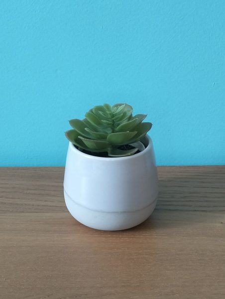 Lot de 5 petites plantes en plastiques