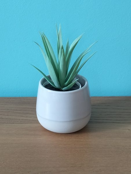 Lot de 5 petites plantes en plastiques