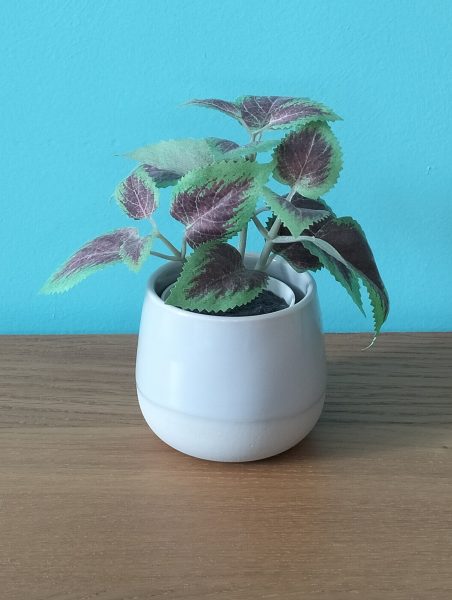 Lot de 5 petites plantes en plastiques