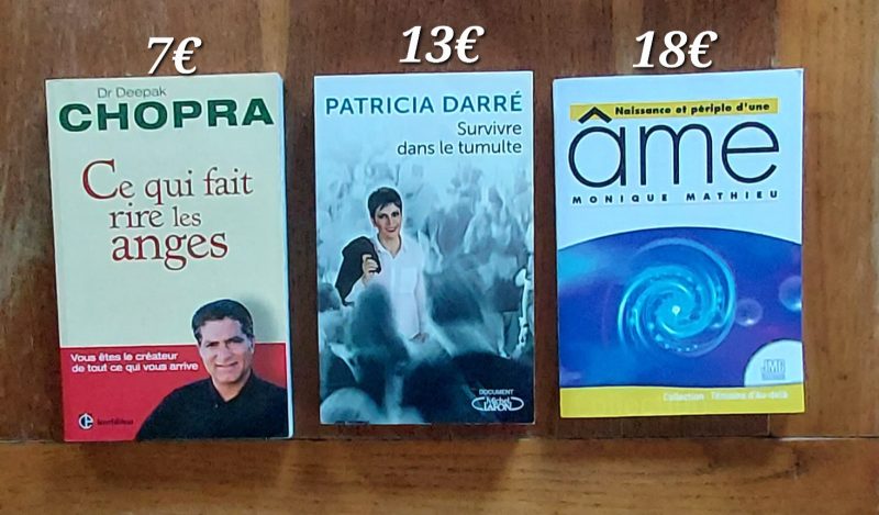 Livre Survivre dans le tumulte – Patricia Darré (spiritualité & médiumnité)