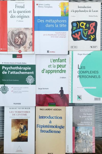 Lot de livres psychanalyse & fondamentaux (Freud, Lacan, attachement…)