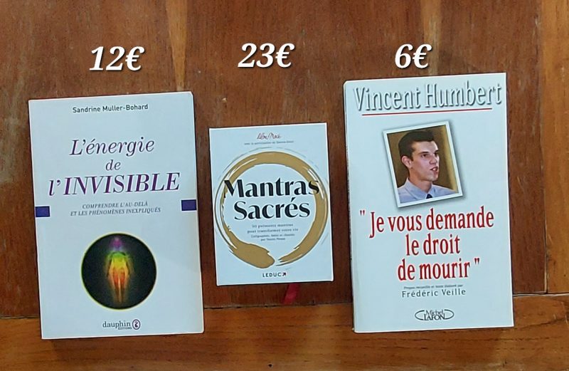 Livre L’énergie de l’invisible – Sandrine Muller-Bohard (énergies & bien-être)