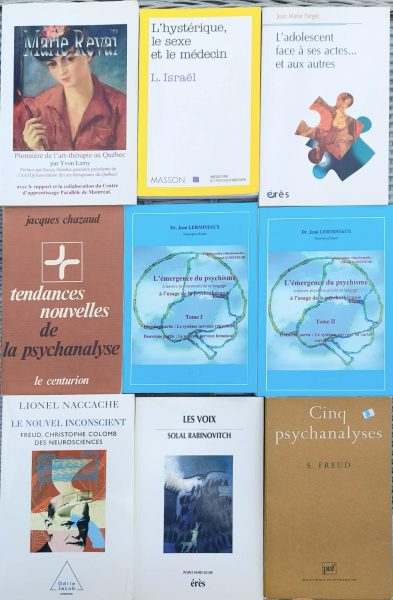 Lot livres psychanalyse, psychisme & développement (Nasio, Freud, Miller…)