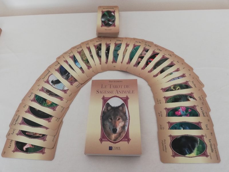 Le Tarot de la Sagesse animale