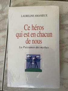 Ce héros qui est en chacun de nous de Lauréline Amanieux