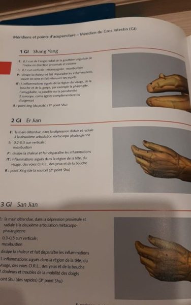 Livres lot Acupuncture Les Points Essentiels - Atlas Illustré d'Acupuncture Seirin