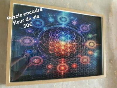 Puzzle fleurs de vie encadrés
