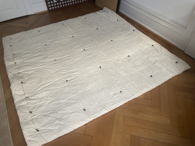 Futon Shiatsu + 3 tatamis